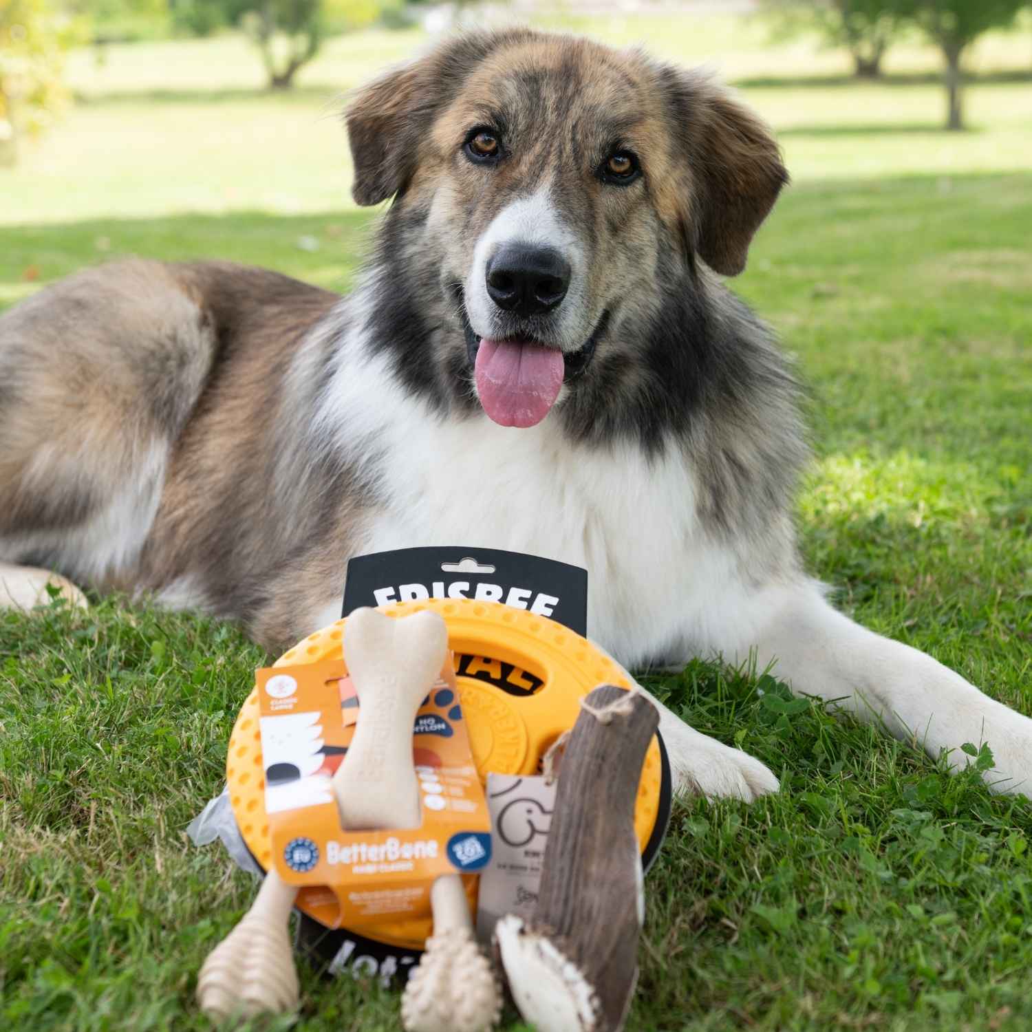 Collection jouets pour chien de chez Trop Wouaf