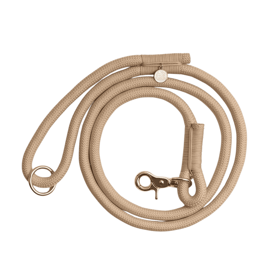 Laisse chien corde tressée beige Furlou – vue complète