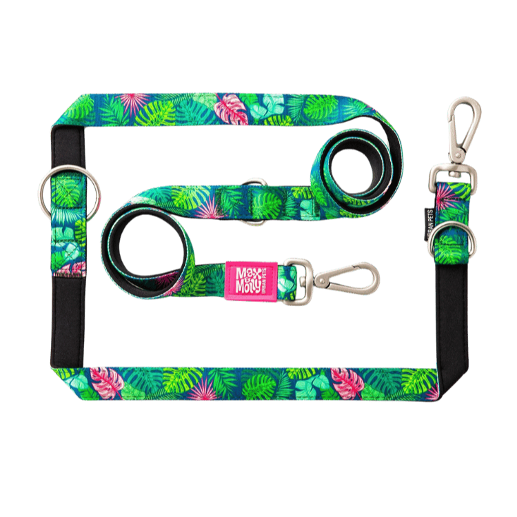 laisse chien double et multi-fonctions tropical