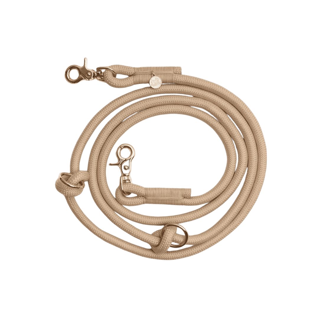 Laisse chien mains libres corde tressée beige Furlou – détails des anneaux et finitions dorées