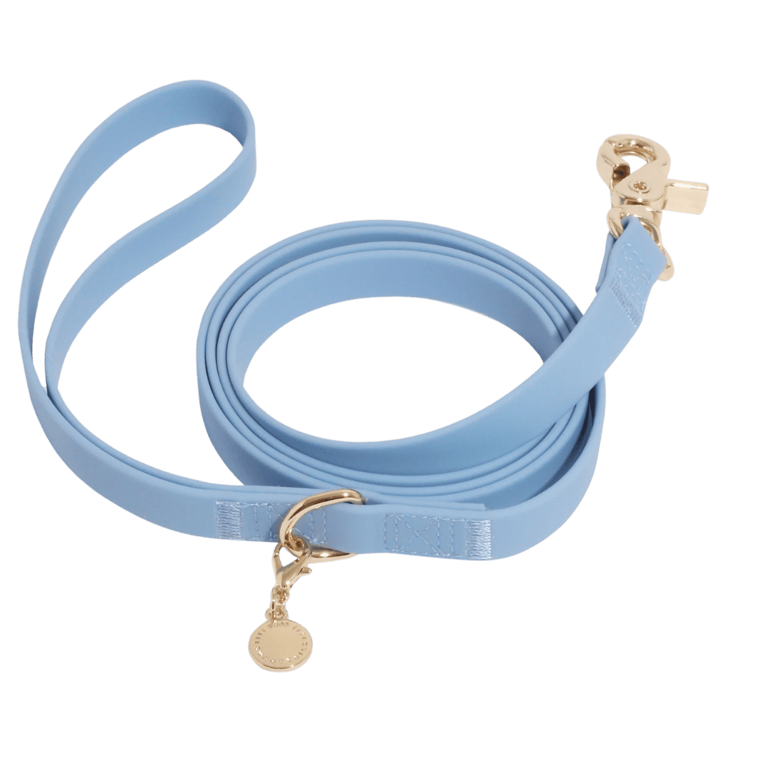 Laisse chien waterproof bleu Sunny Tails