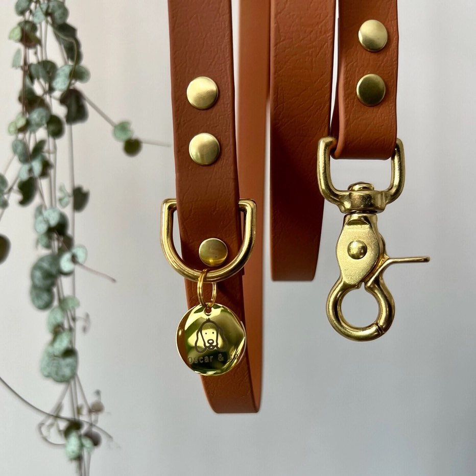 mousquetons de la laisse mains libres pour chien couleur camel