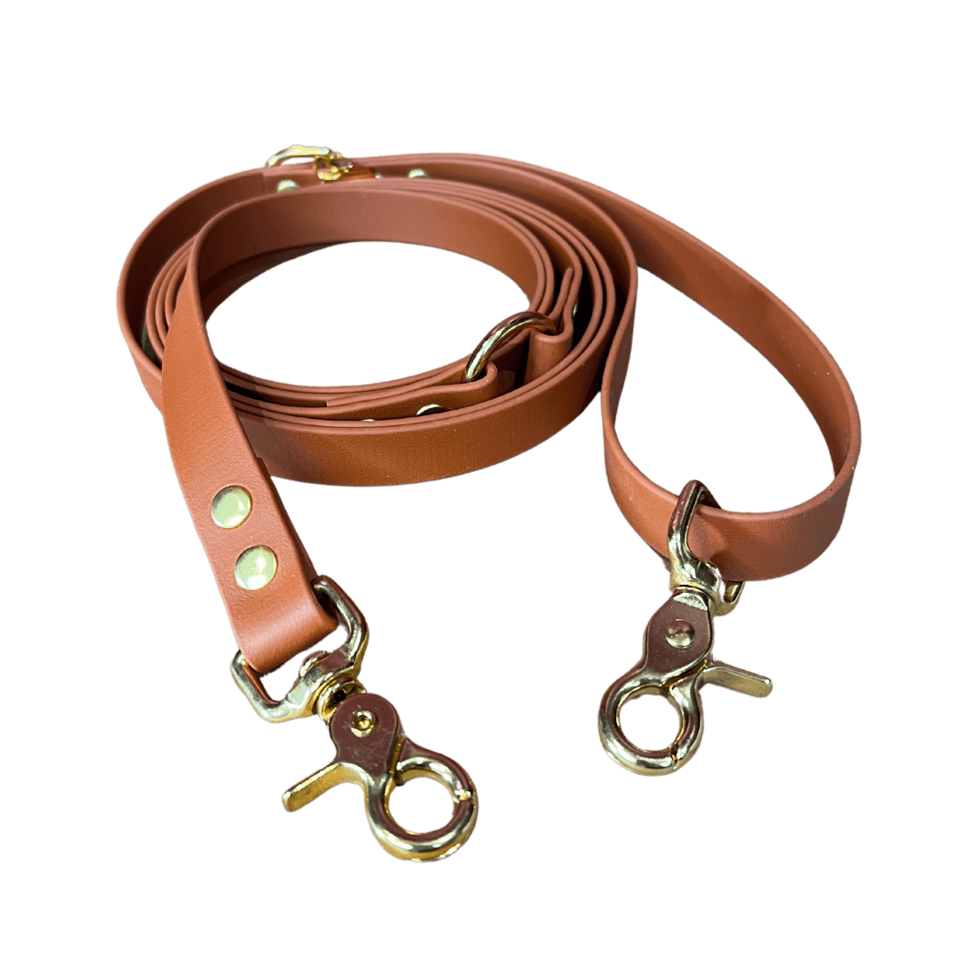 laisse mains libres pour chien couleur camel