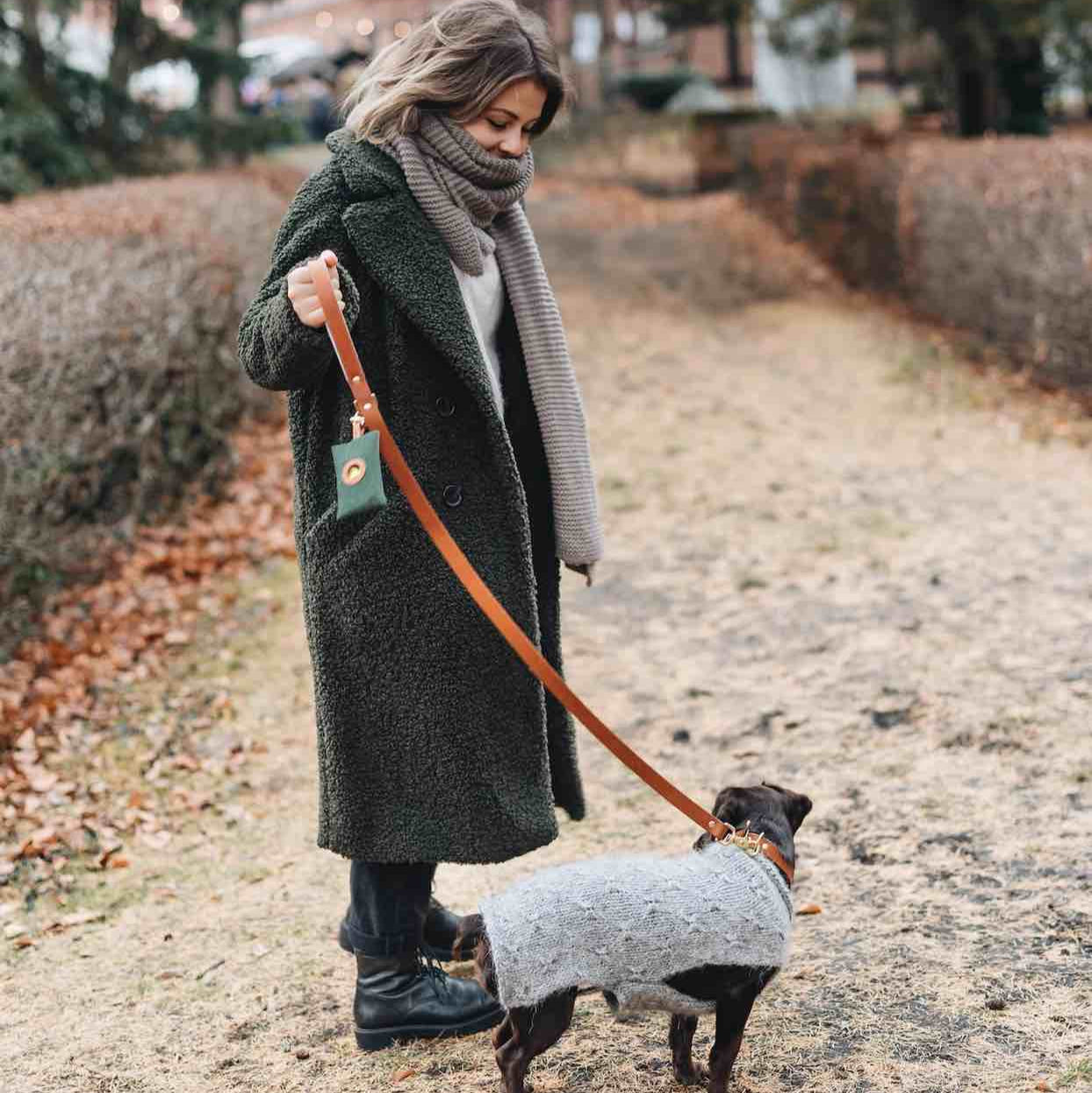 laisse pour chien en cuir marron tenue en main