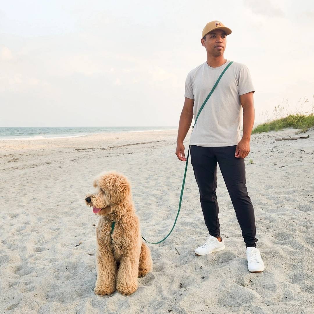 Laisse pour chien verte mains libres robuste et facile à nettoyer