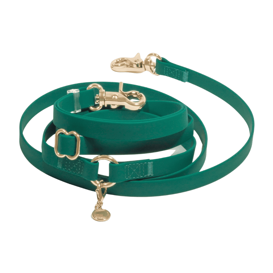 Laisse pour chien main libre verte waterproof et élégante