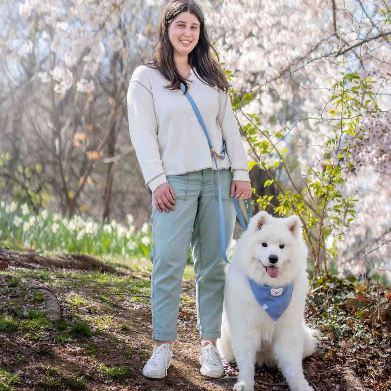 laisse pour chien main libre bleue portée