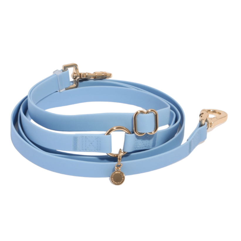 laisse pour chien main libre bleue avec mousquetons dorés