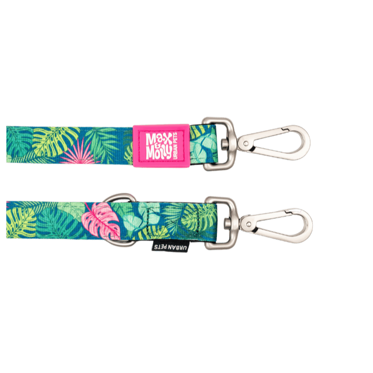 laisse pour chien tropicale Max & Molly pour promenade mains libres