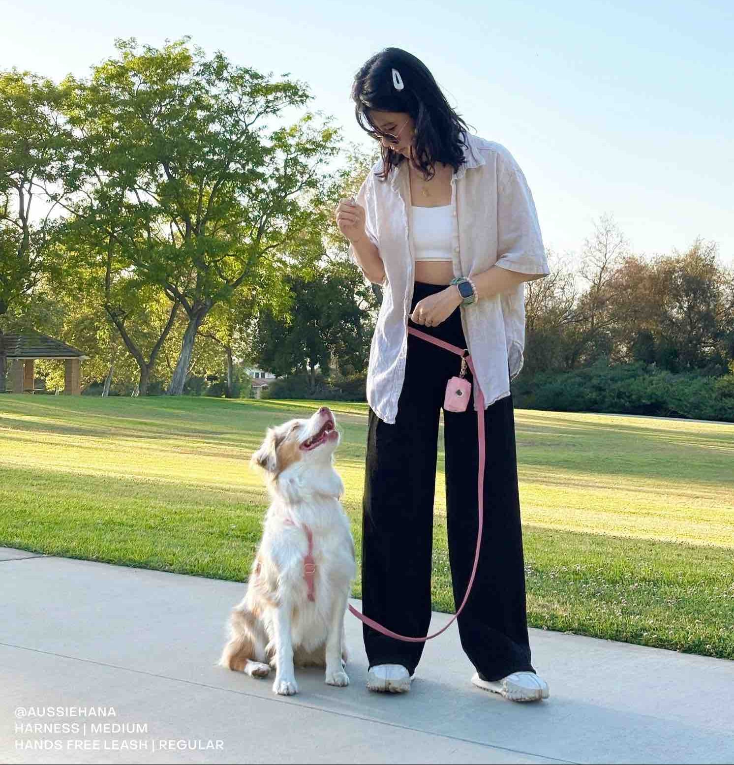 laisse rose pour chien mains libres portée