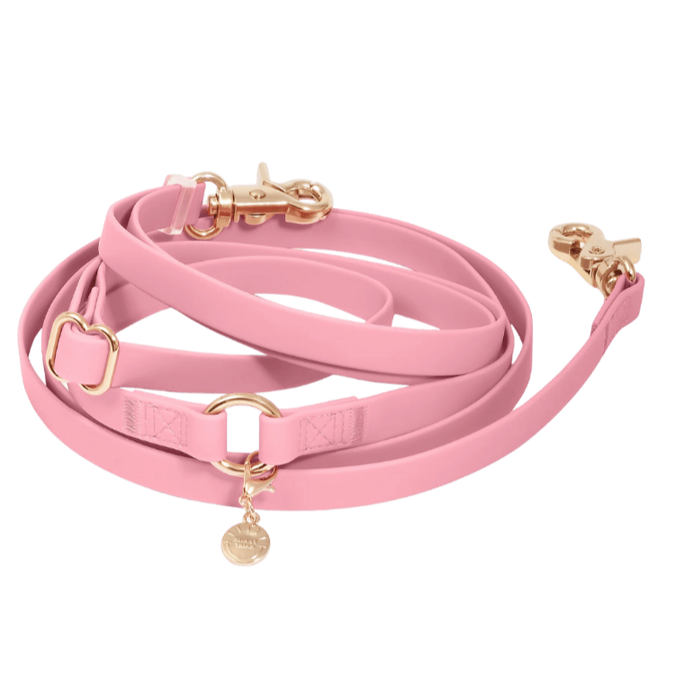laisse rose pour chien main libre avec mousquetons dorés