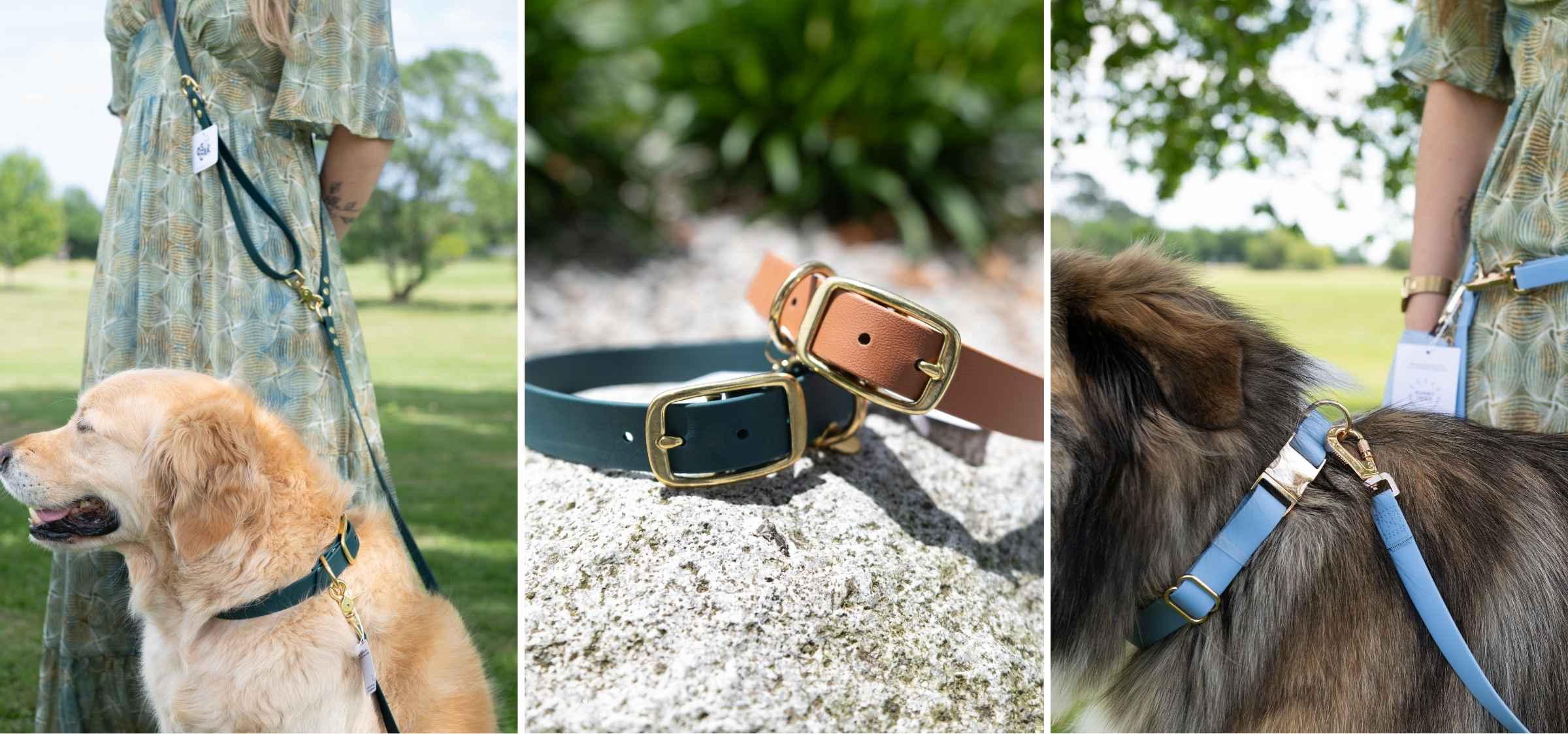 Des colliers pour chien pensés pour son confort au quotidien