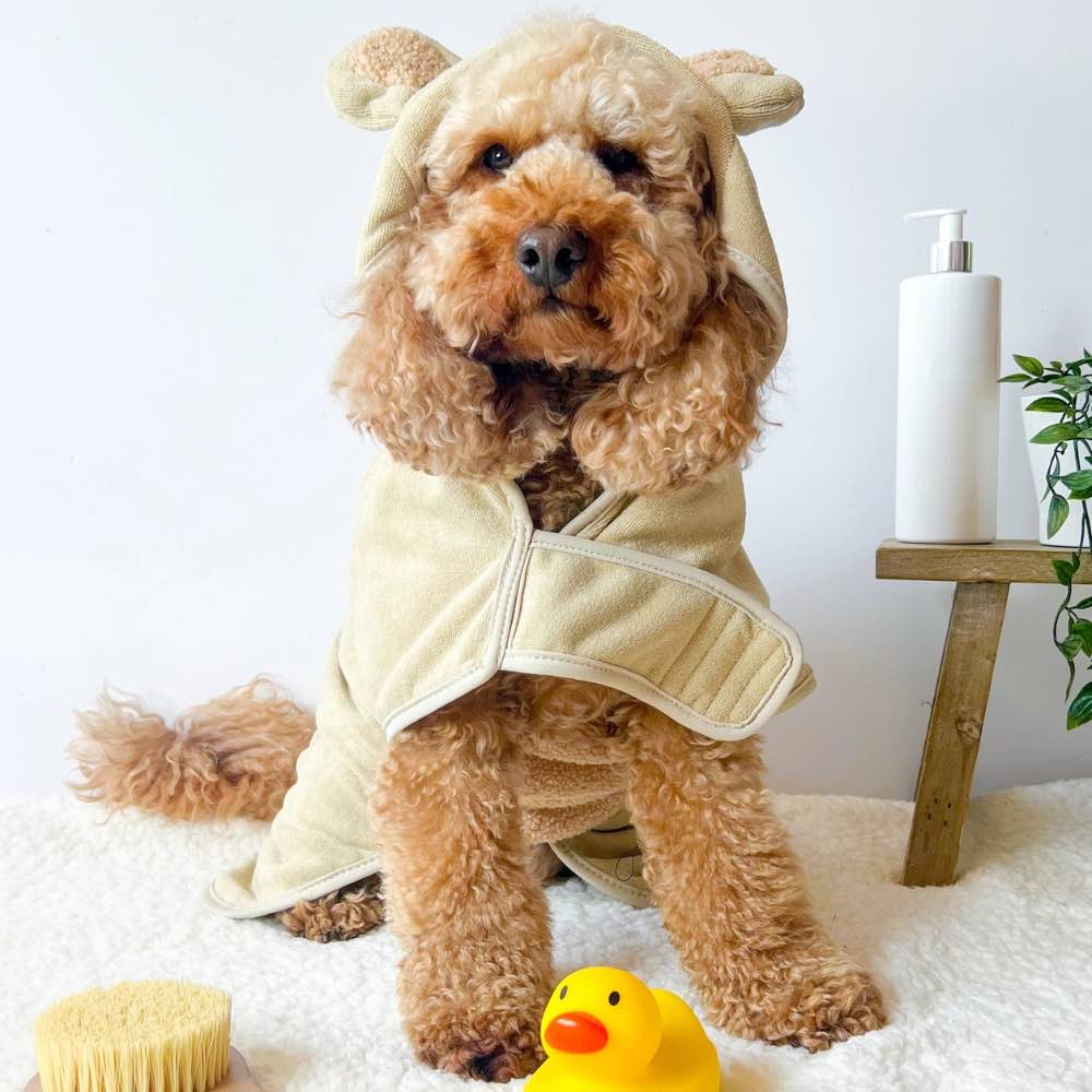 Peignoir chien avec fermeture velcro ajustable