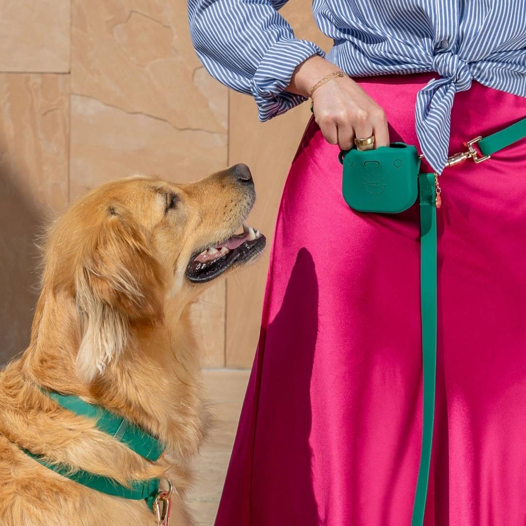 Pochette à friandises pour chien en silicone aimantée Sunny Tails sur la laisse assortie – coloris vert