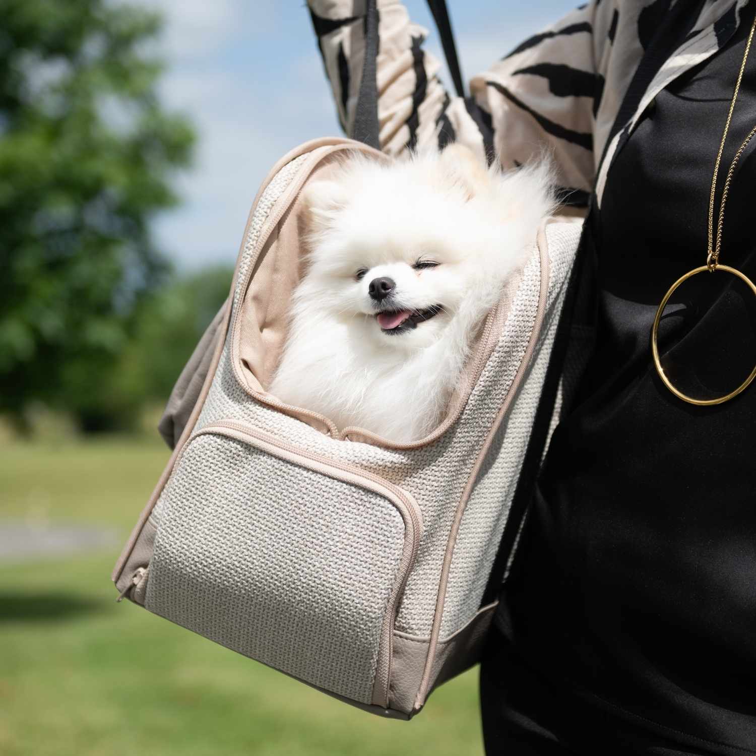 Sac de voyage pour chien avec matelas orthopédique avec Spitz dedans