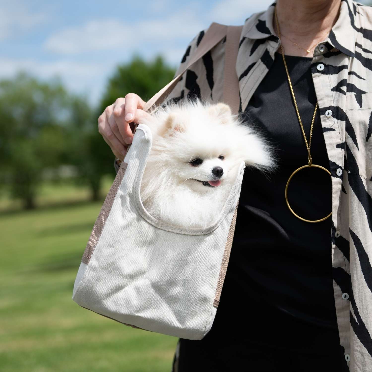 Sac transport chien à l'épaule avec Spitz dedans
