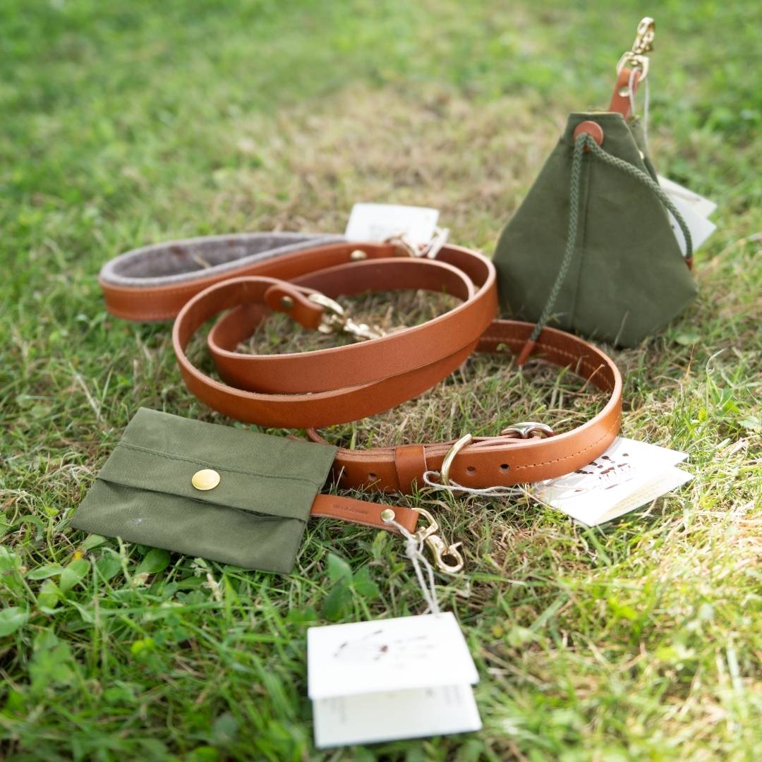 Ensemble en cuir avec collier, laisse, sac à friandises et porte-sacs crotte chien