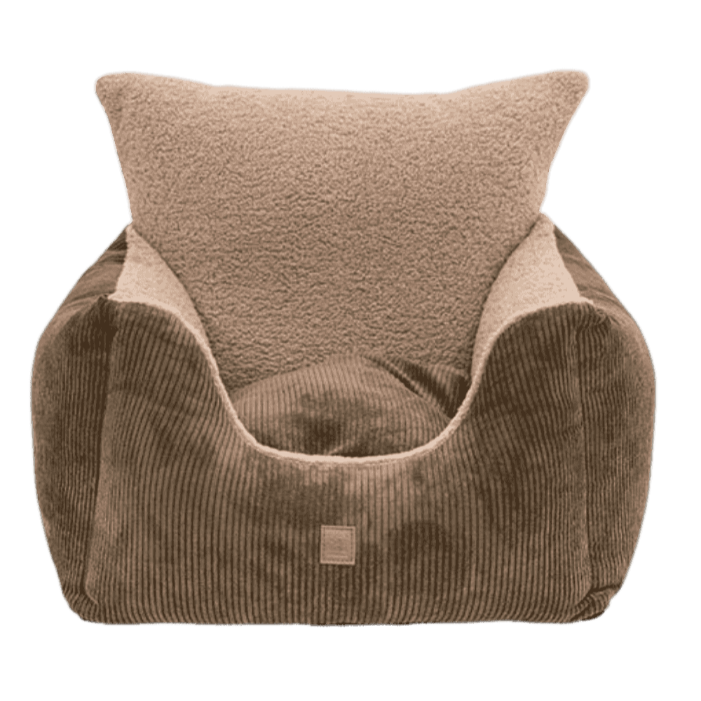 Vue de face du siège auto pour chien