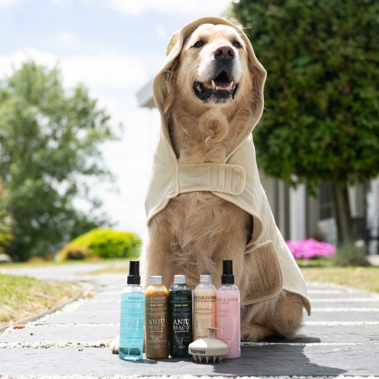 Collection soins pour chien de chez Trop Wouaf