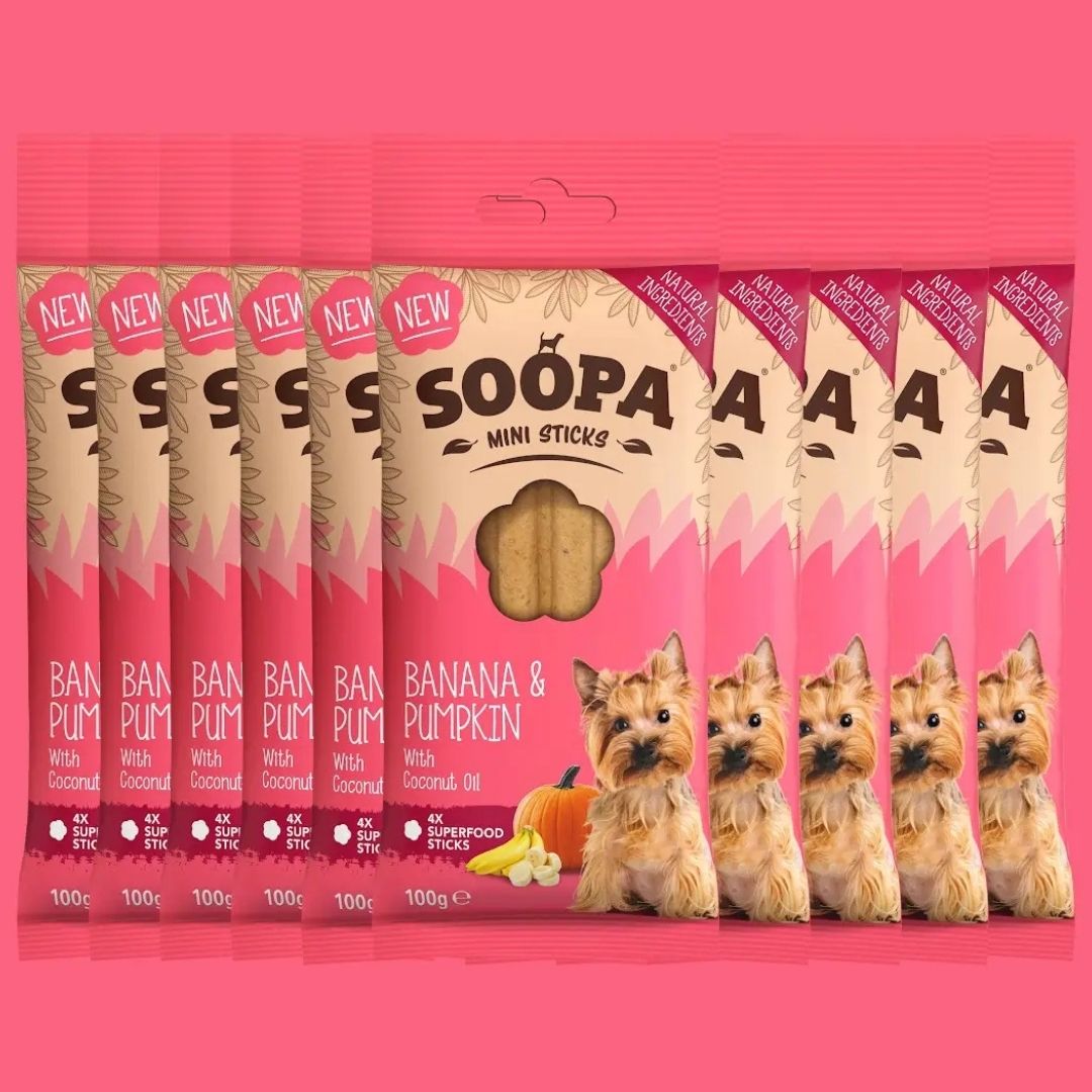 Plusieurs sachets de stick dentaire petit chien Soopa