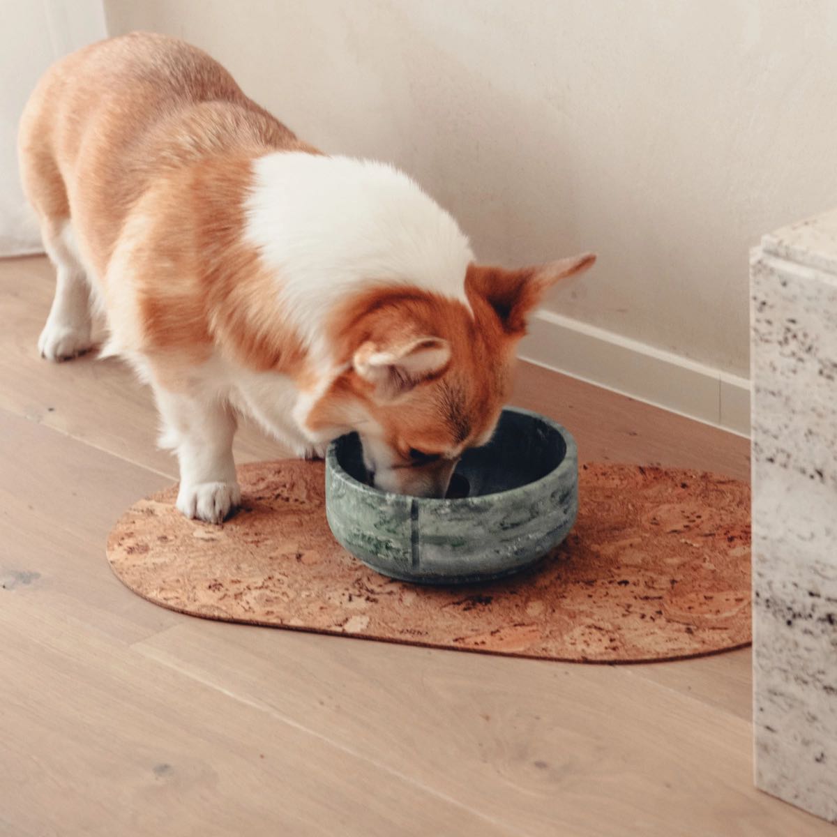 coin repas propre avec tapis pour gamelle chien en liège