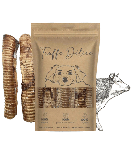 Trachée de bœuf naturelle pour chien 30 cm