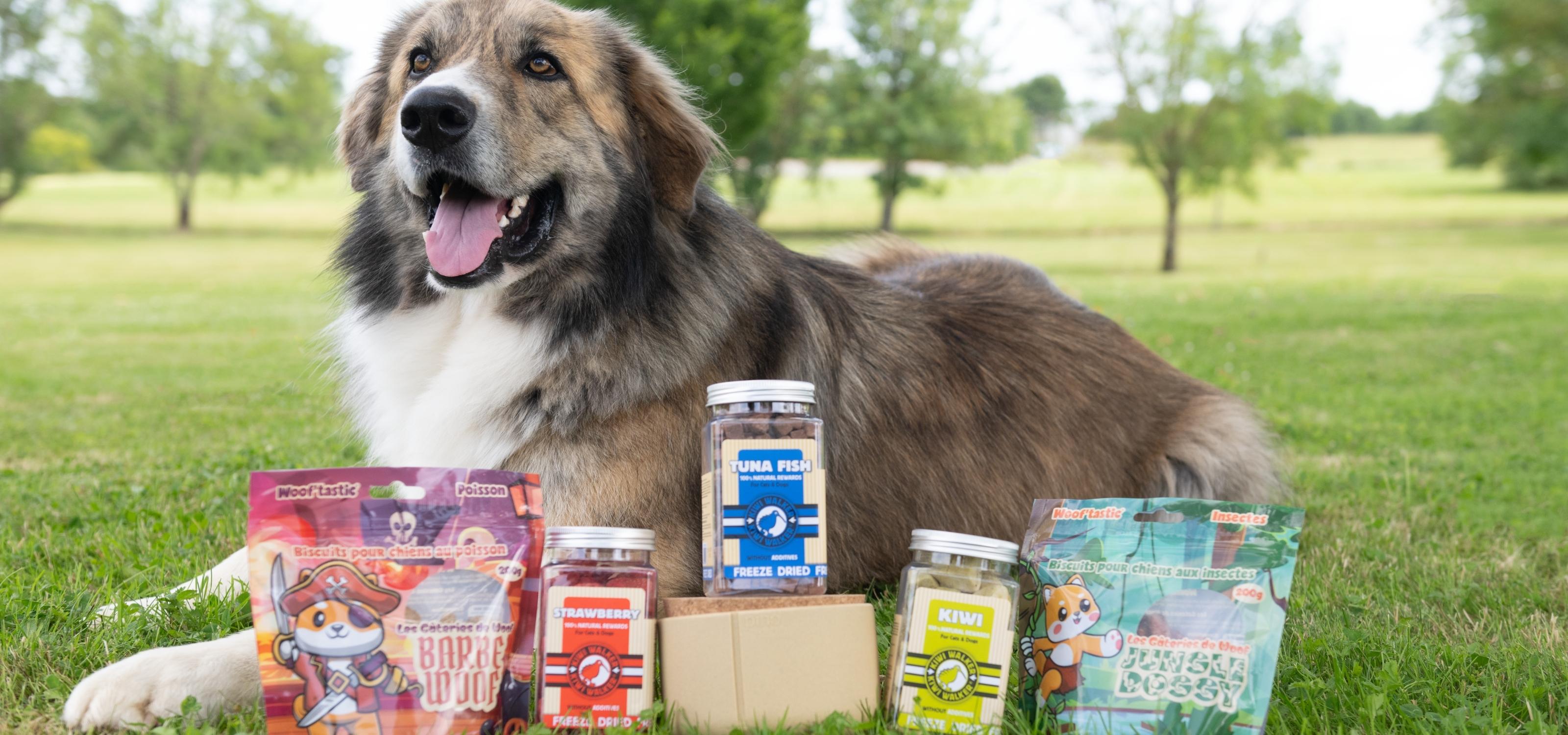 Collection de gourmandises pour chien premium signée Trop Wouaf