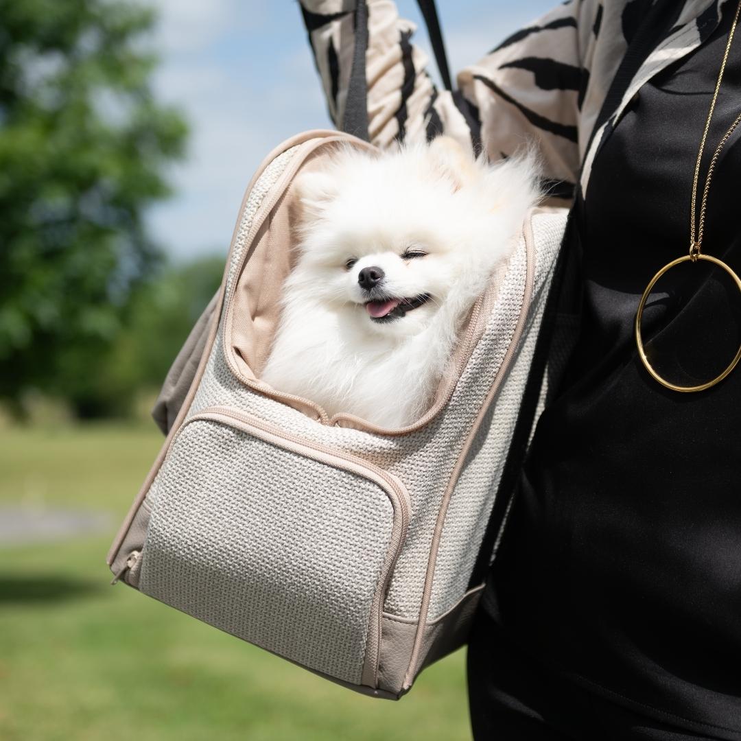 cadeau original pour chien – jouets, friandises et médaille personnalisée Trop Wouaf