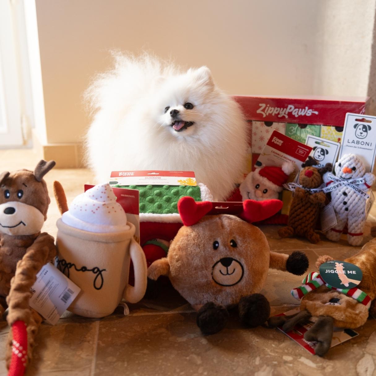 Titou notre chien heureux devant notre sélection de jouets de Noël
