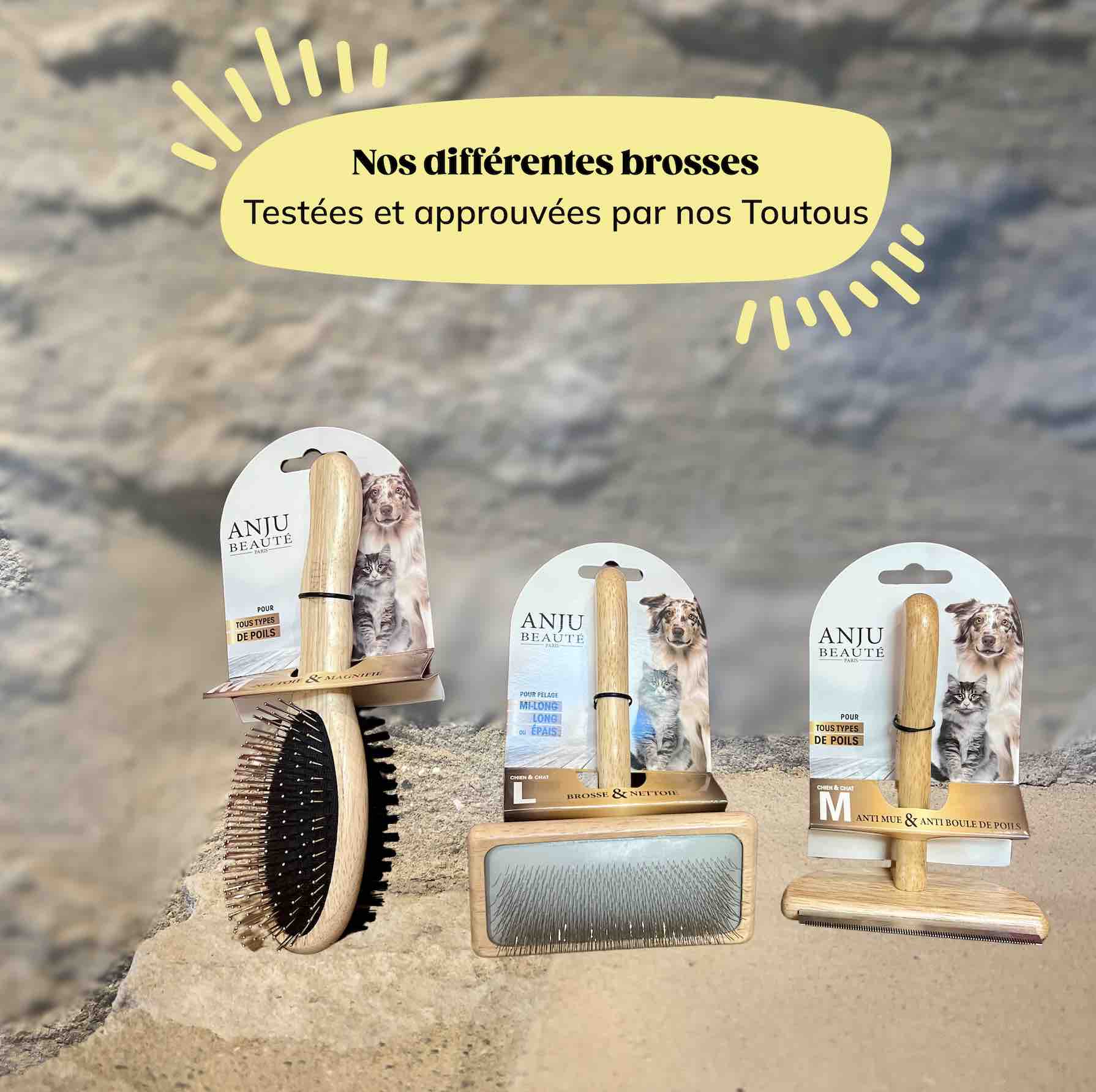 Brosse chien double face en bois et nylon avec 2 autres brosses de la même marque