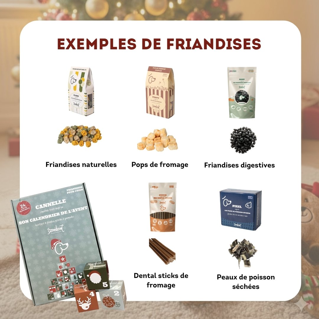 Exemples de friandises que contient le calendrier de l'avent pour chien Evident