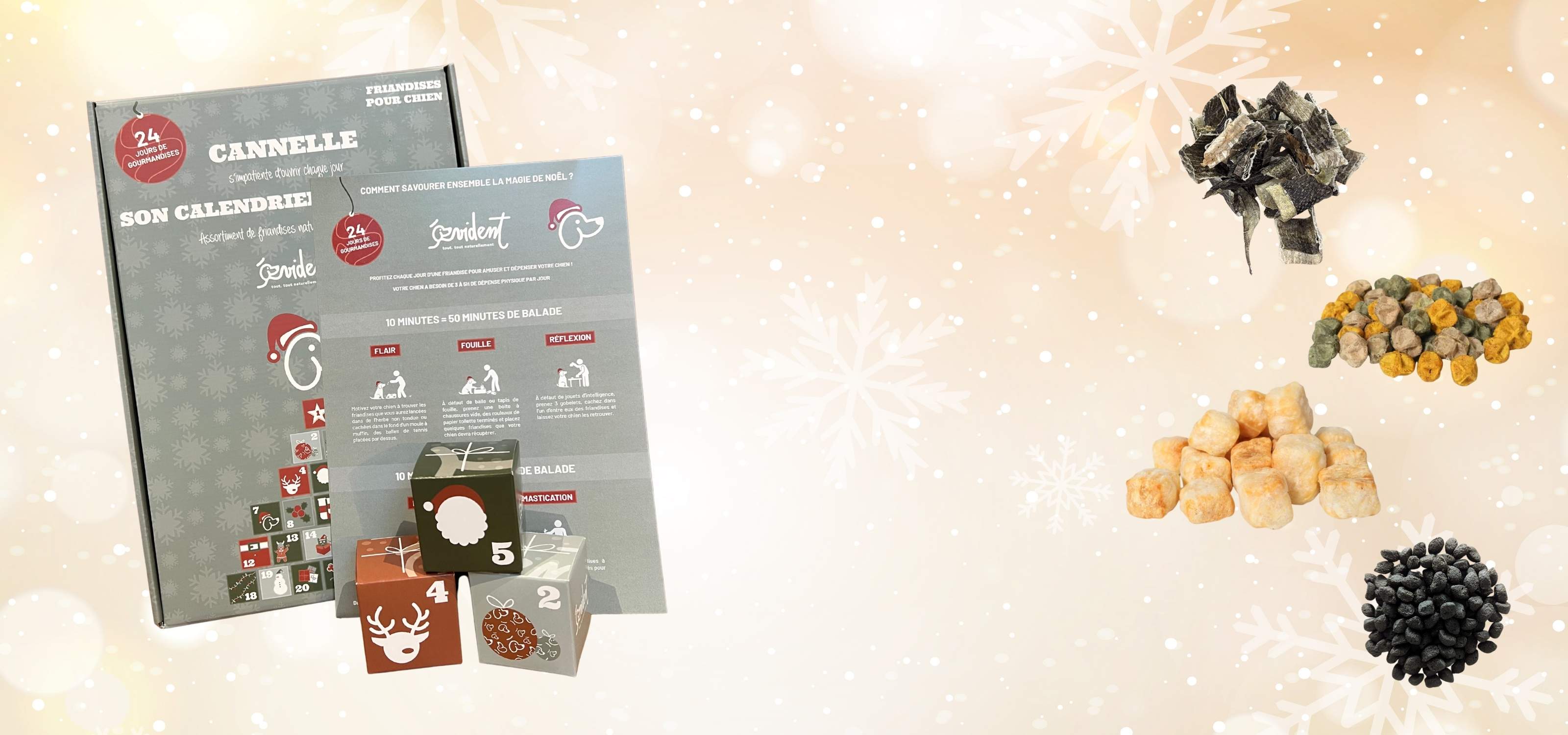 Calendrier de l'avent pour chien de la marque Evident