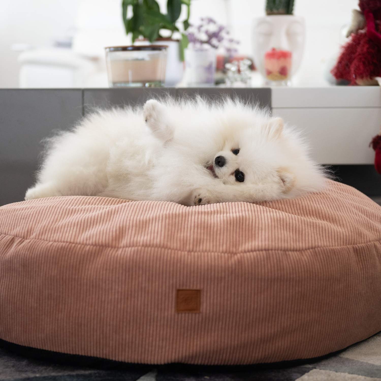 Collection cocooning pour chien de chez Trop Wouaf