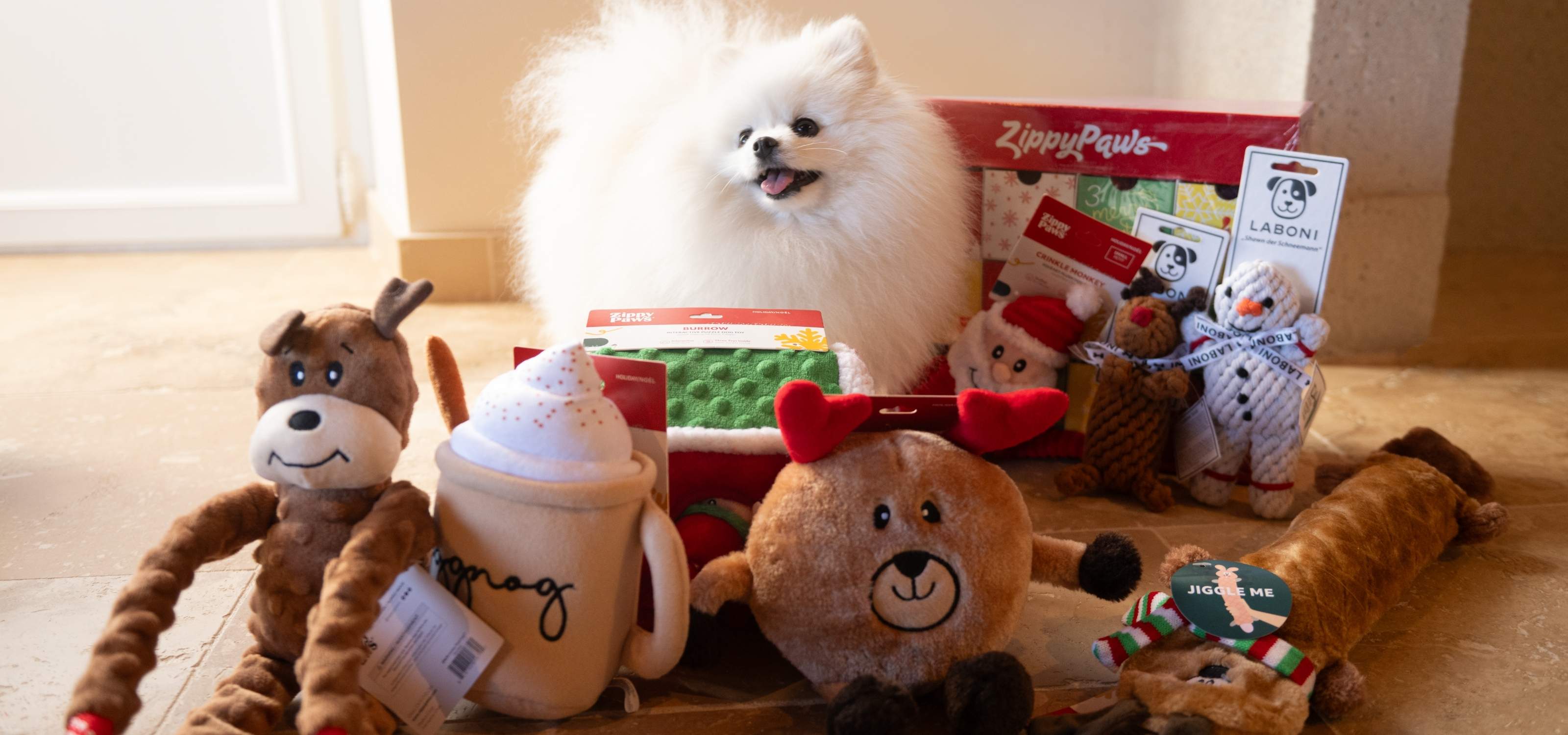 Chien Spitz entouré de pleins de jouets de Noël, de quoi offrir un joli cadeau à son chien