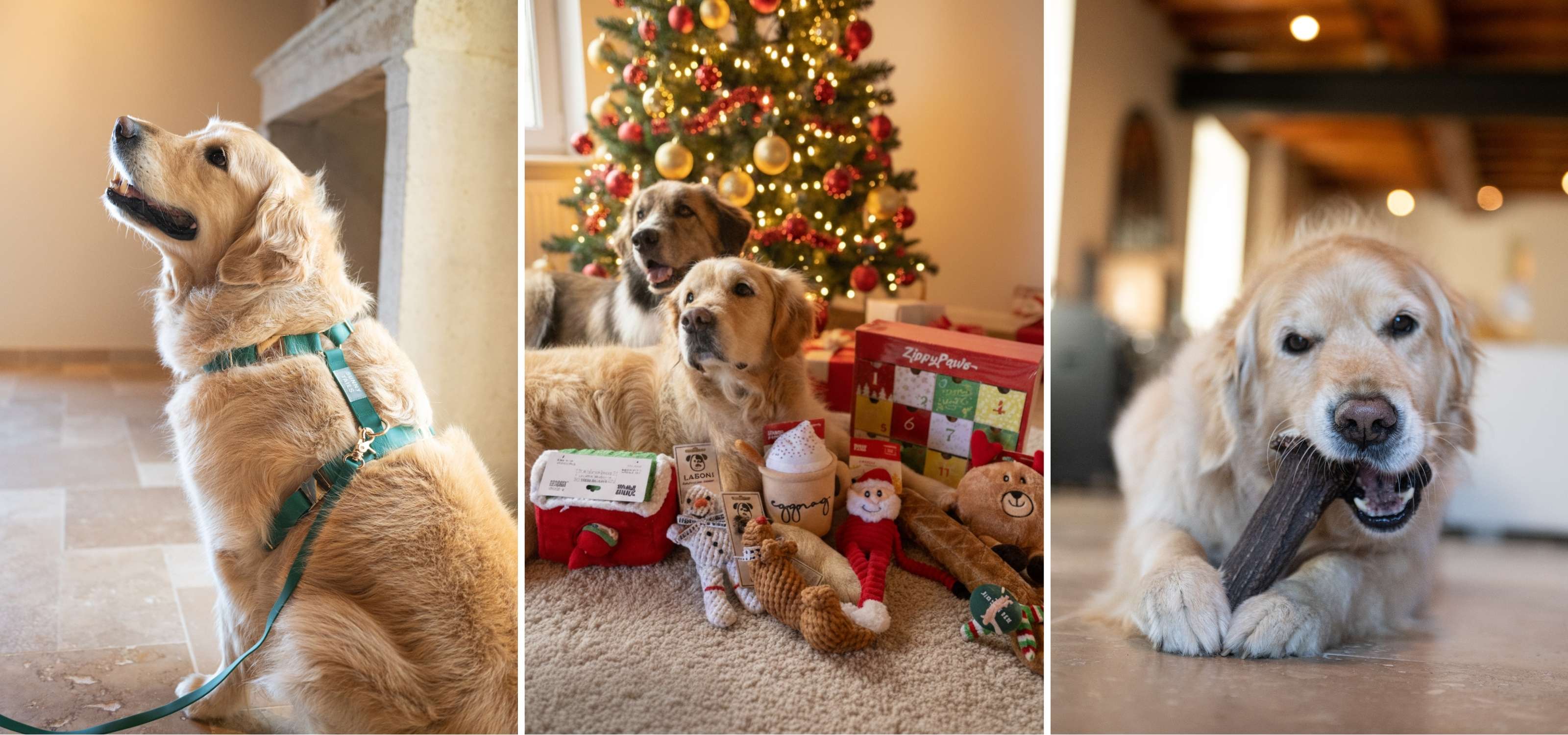 Collection cadeau noel chien – idées cadeaux et accessoires festifs Trop Wouaf