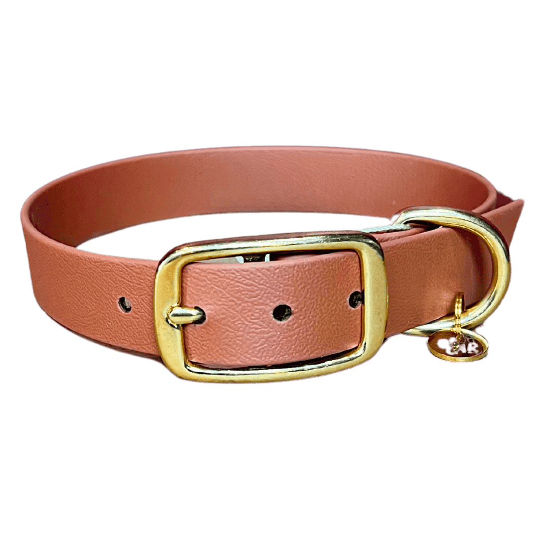 collier biothane pour chien camel