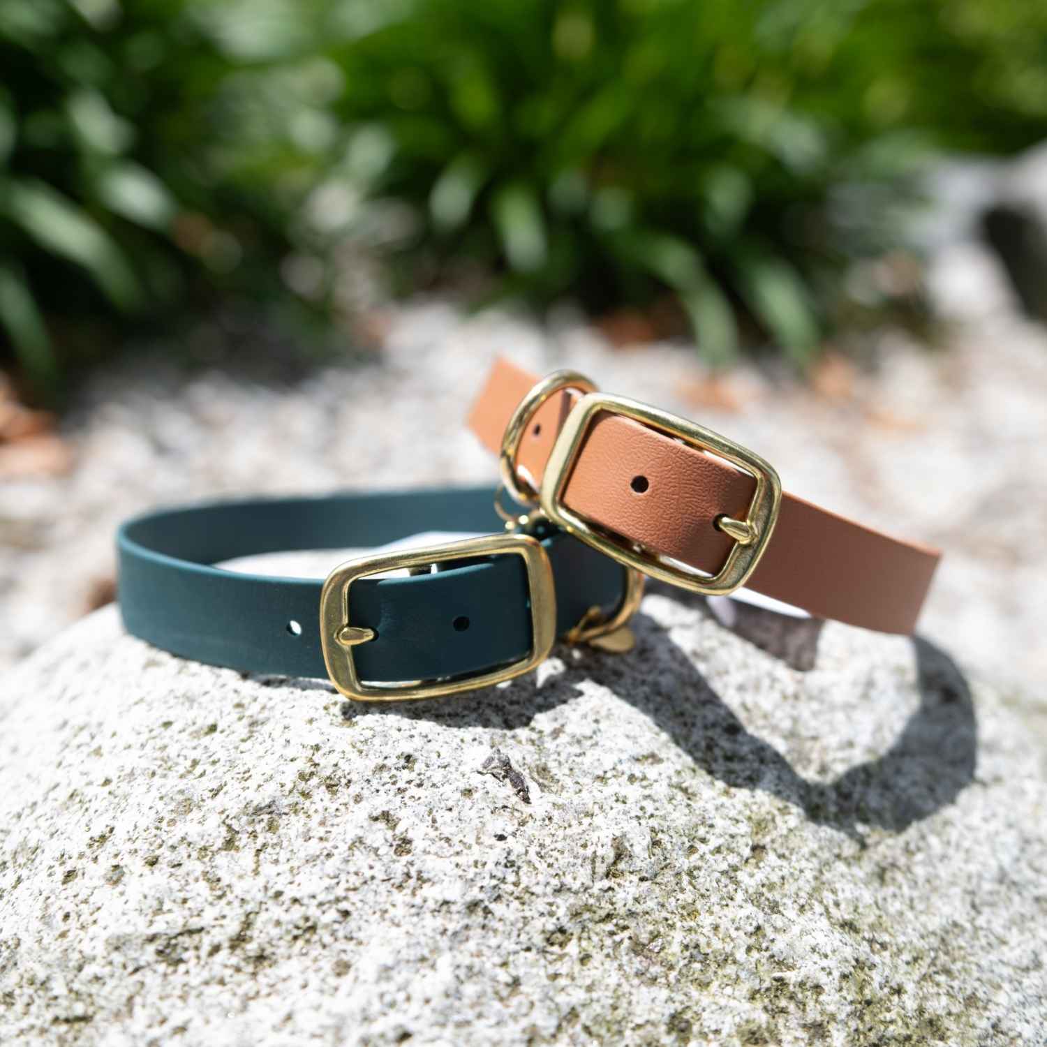 Collier biothane pour chien couleur marron 