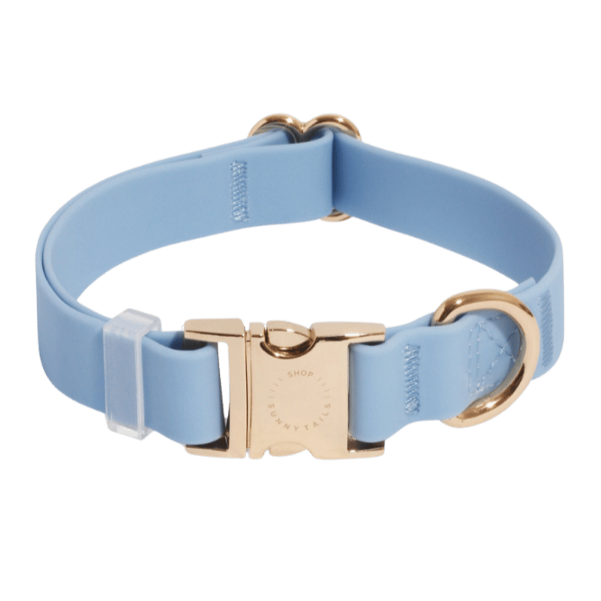 collier chien bleu waterproof