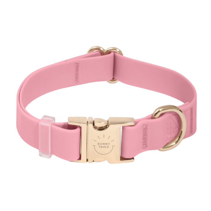 collier chien rose imperméable