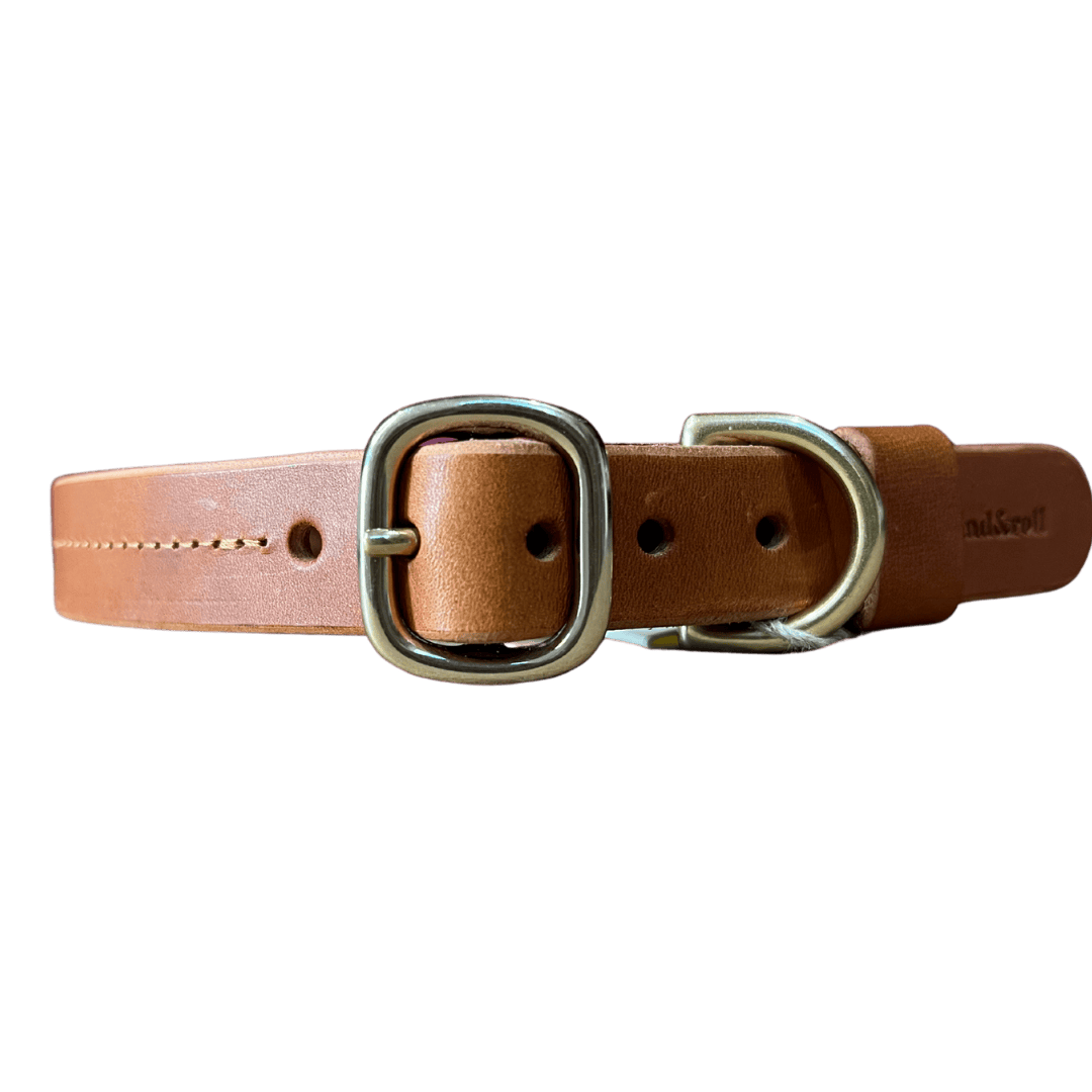 Collier en cuir pour chien avec boucle en laiton
