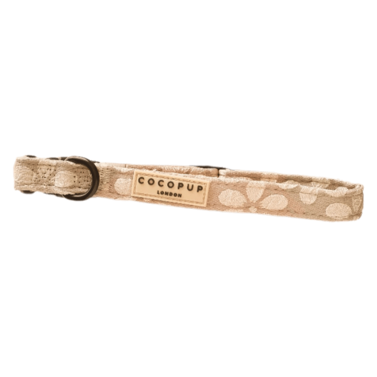 collier luxe pour chien moka avec fleurs