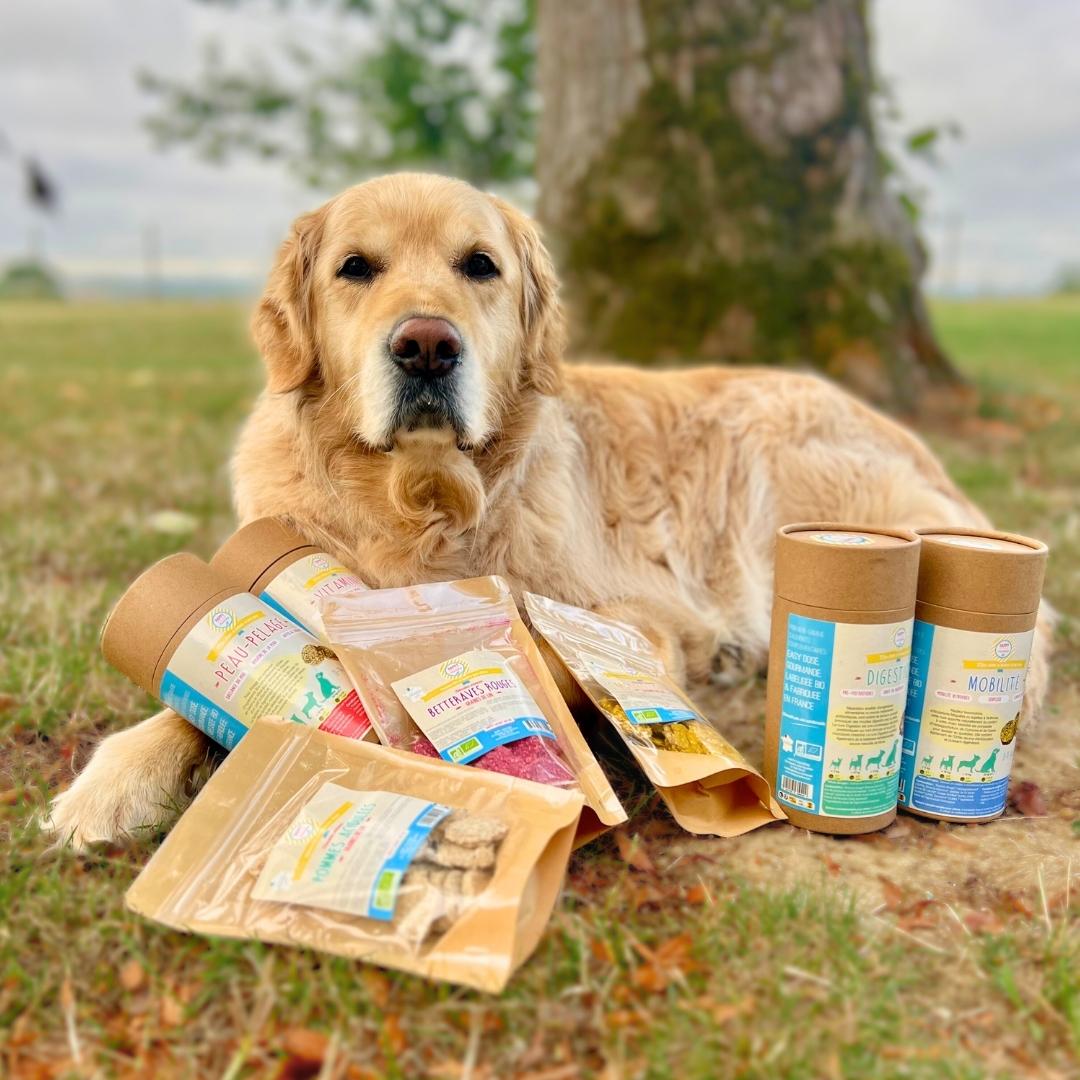 Golden retriever avec les produits Happy Crackers 
