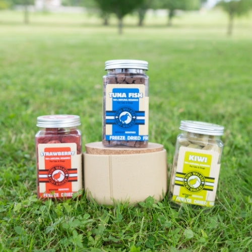 friandises lyophilisées pour chien Kiwi Walker en dates courtes