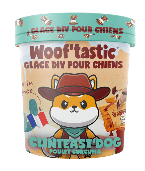 Glace pour chiens maison Clinteast’dog au poulet