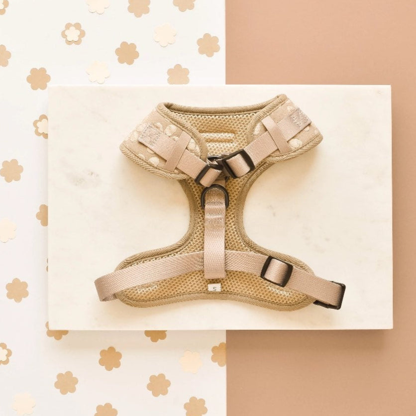 harnais fleuri ajustable pour chien stylé