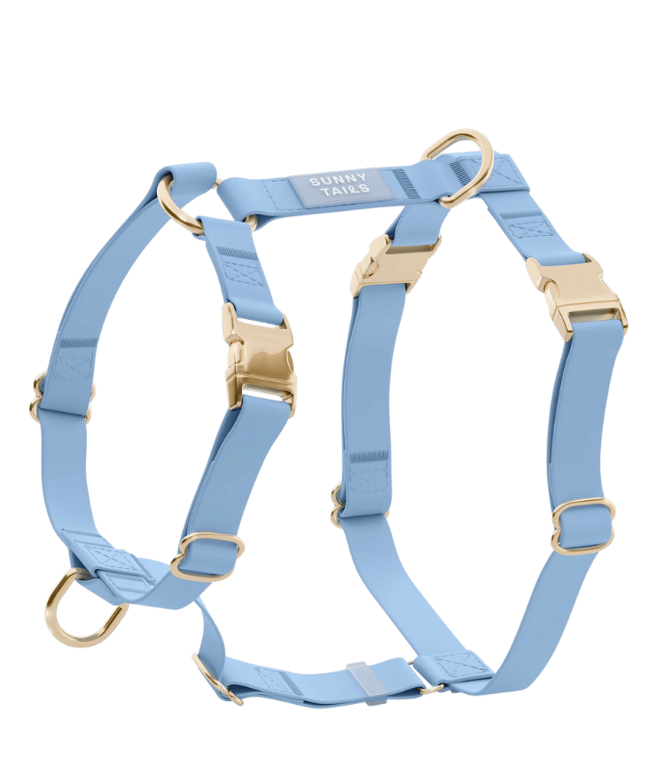 harnais pour chien bleu léger et respirant