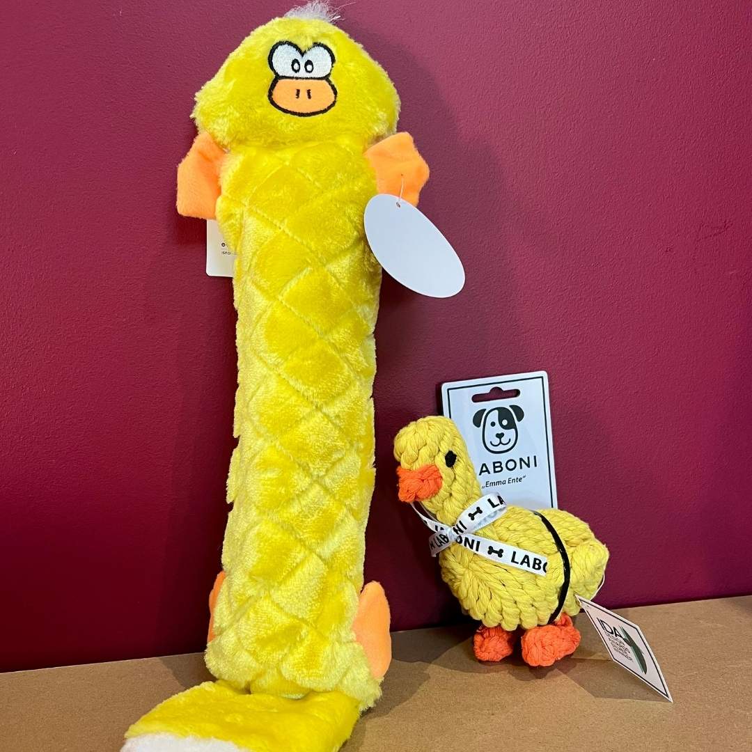 Nos différents types de jouets canard pour chien : avec couineur et en corde