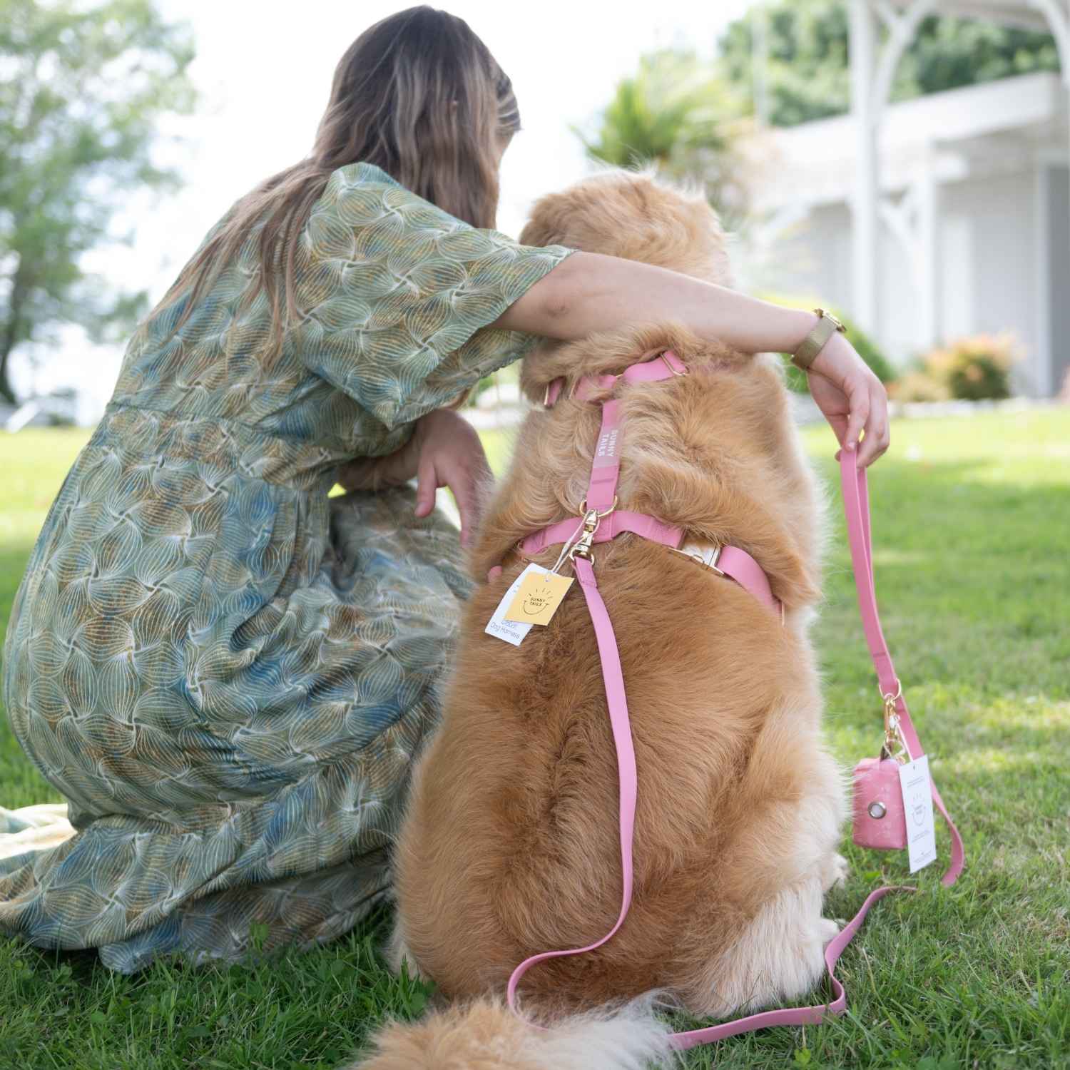 laisse pour chien waterproof rose avec harnais et sac à crottes assortis