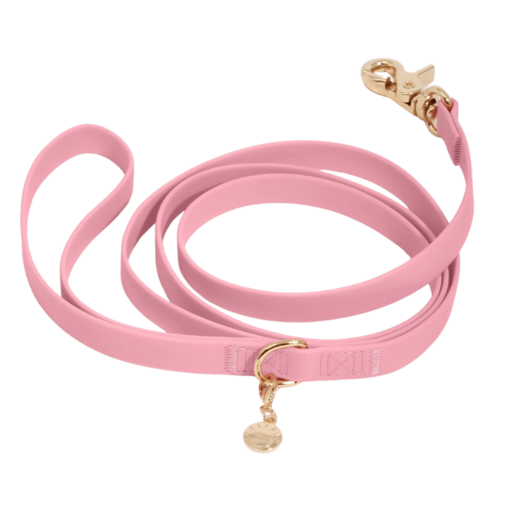 laisse pour chien waterproof rose