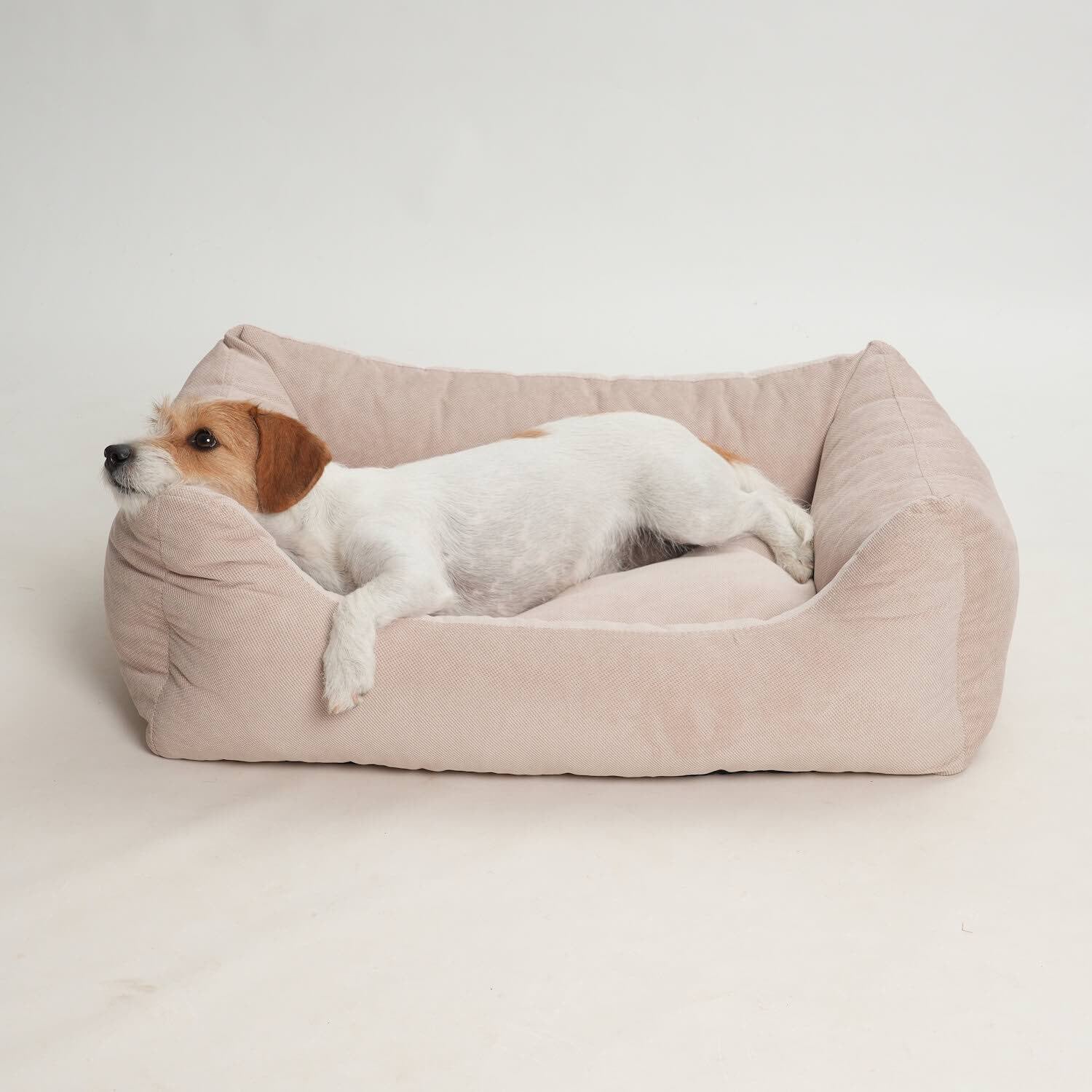 chien couché confortablement dans un lit pour chien lavable